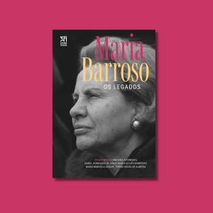Maria Barroso. Os legados